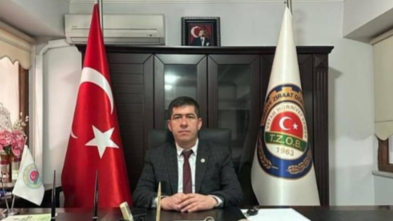 Otomatik Taslak