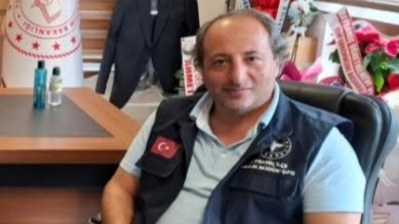 Otomatik Taslak