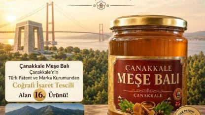 Çanakkale Meşe Balı Coğrafi İşaret Tescili Aldı, Tescilli Ürün Sayısı 16’ya Yükseldi