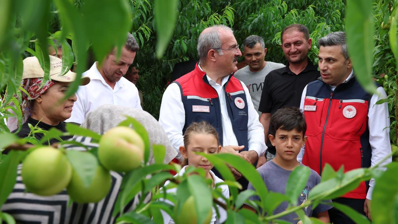 Bayramiç’te beyaz altın hasadı başladı!