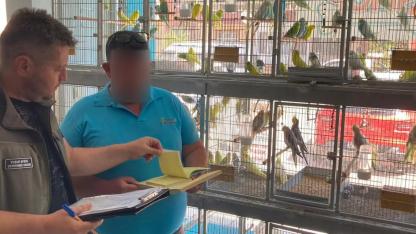 Çanakkale’de Petshoplara Şok Denetim! Gözden Kaçan Detaylar Ortaya Mı Çıktı?