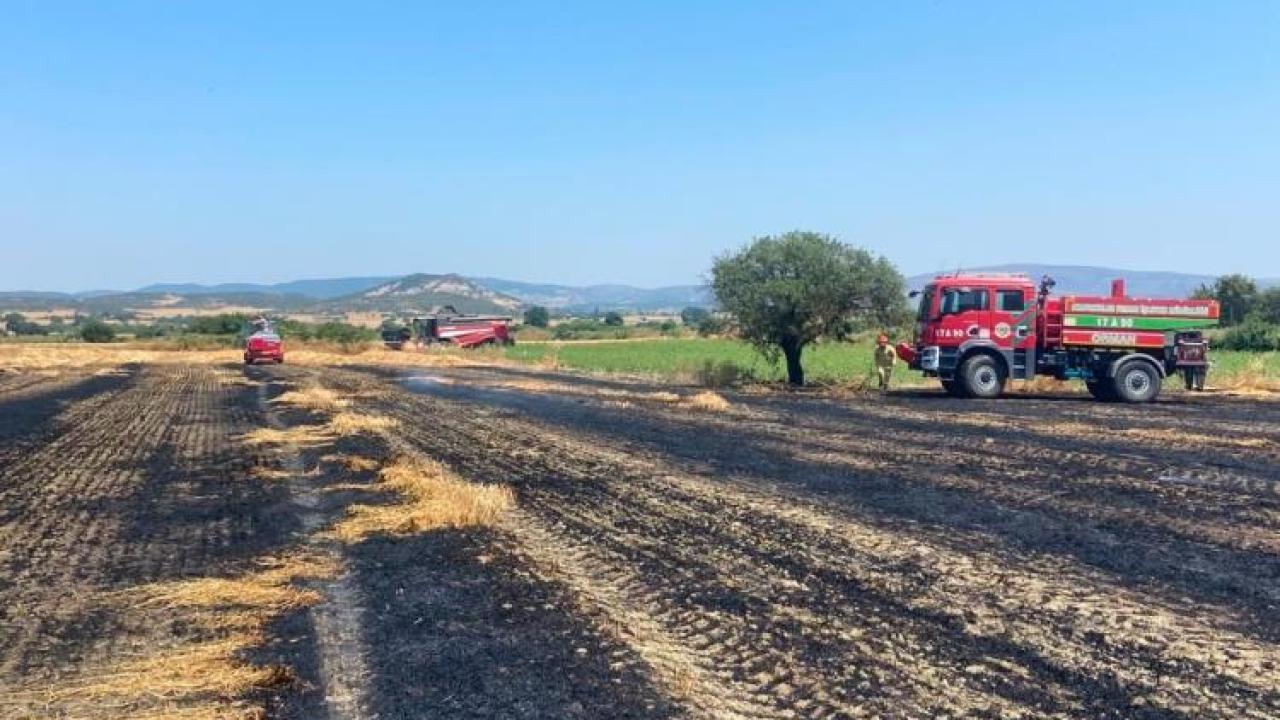 Çanakkale'deki yangında 10 dönüm tarım arazisi zarar gördü