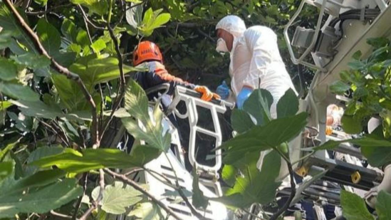 Koku sebebiyle yapılan kontrolde ağaca asılı ceset bulundu