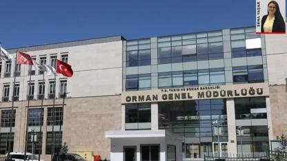 Orman Genel Müdürlüğü’nde Büyük Değişim! 5 Bölge Müdürü Görevden Alındı