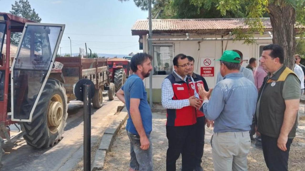 Otomatik Taslak
