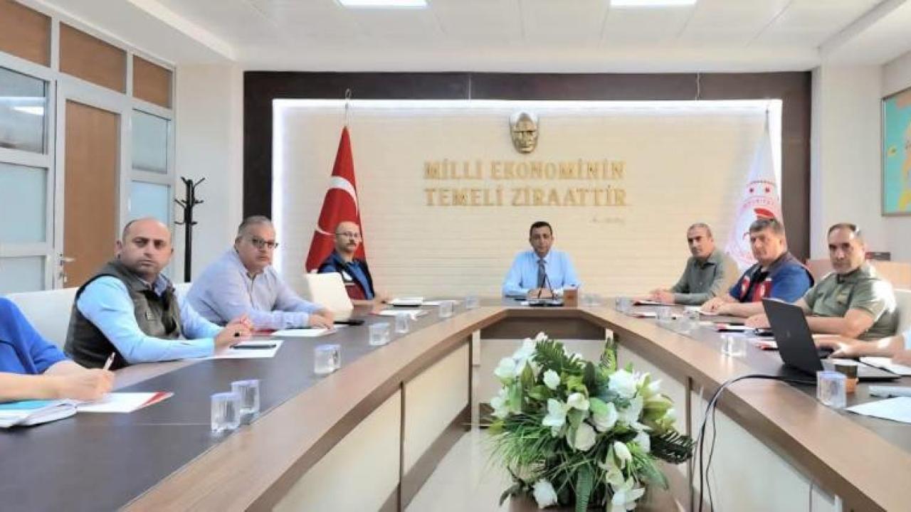 Otomatik Taslak