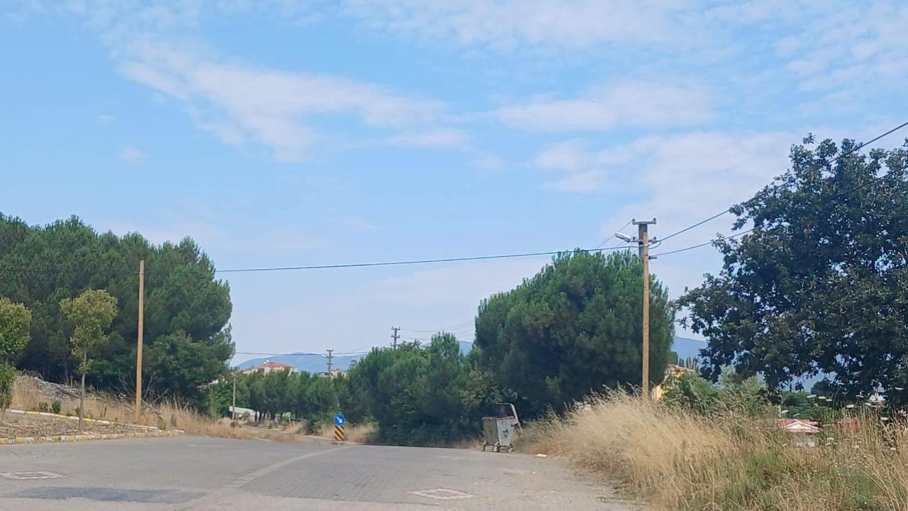 Otomatik Taslak