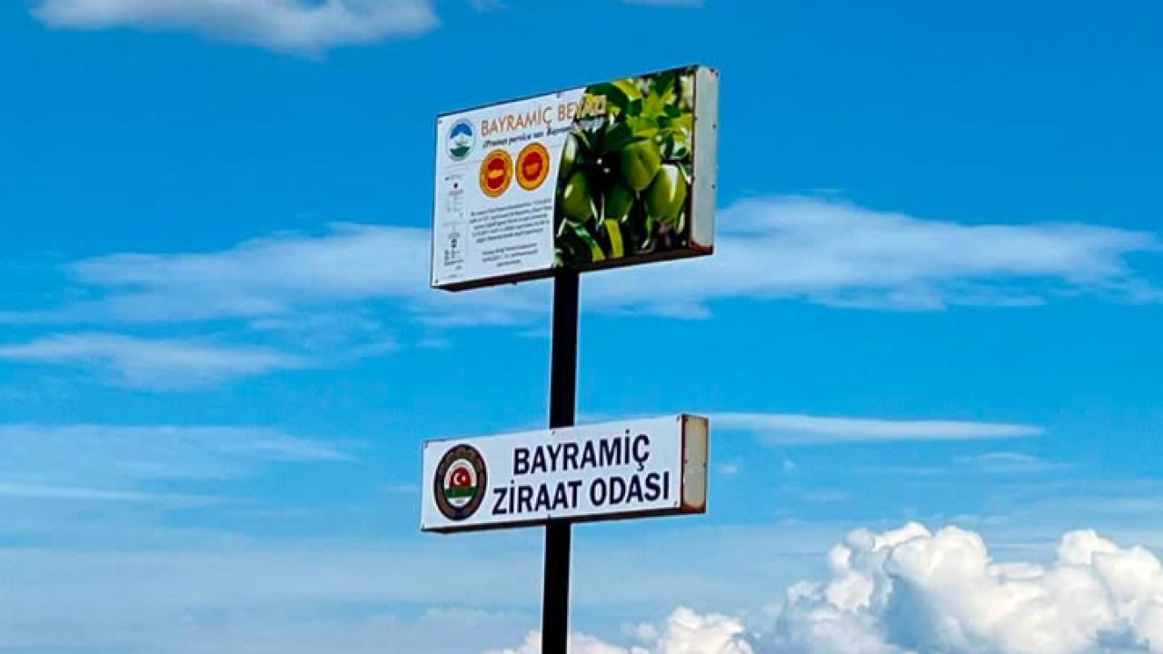 Otomatik Taslak