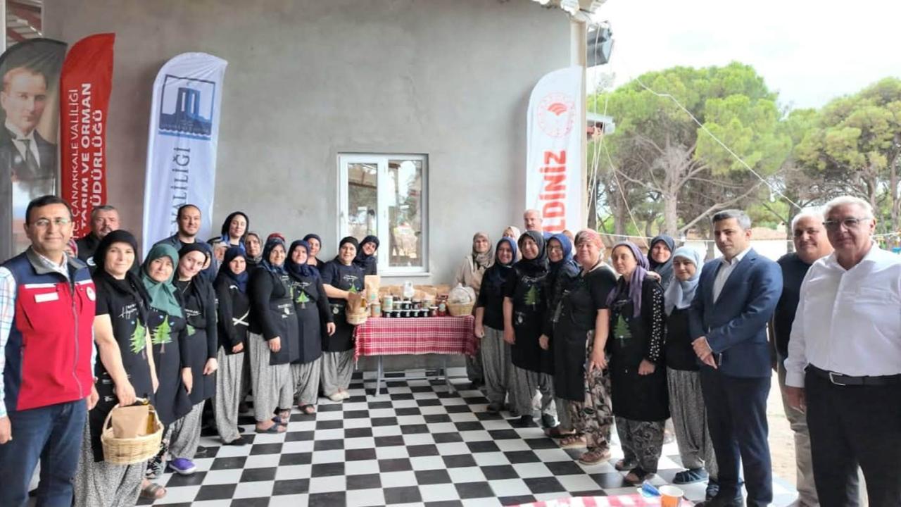 Otomatik Taslak
